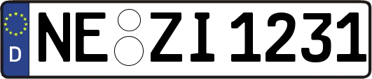 NE-ZI1231