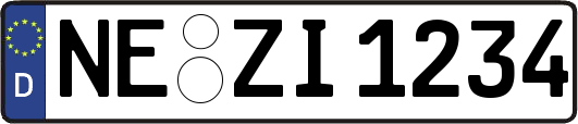 NE-ZI1234