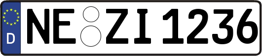 NE-ZI1236