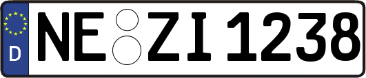 NE-ZI1238