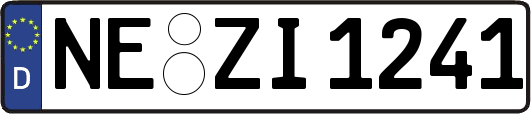 NE-ZI1241