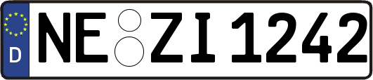 NE-ZI1242