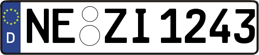 NE-ZI1243