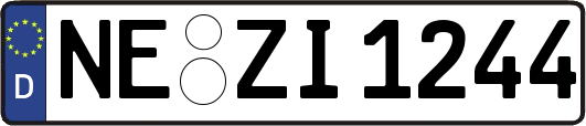 NE-ZI1244