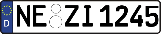 NE-ZI1245