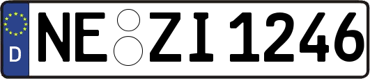 NE-ZI1246