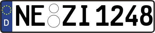 NE-ZI1248