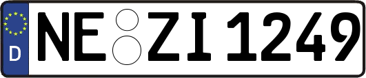 NE-ZI1249