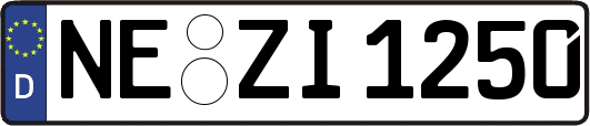 NE-ZI1250