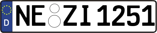 NE-ZI1251