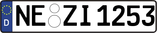 NE-ZI1253