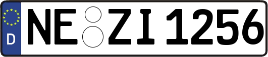 NE-ZI1256