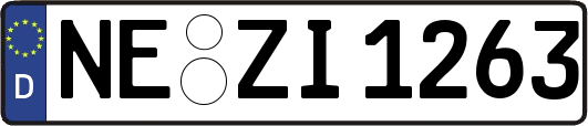 NE-ZI1263