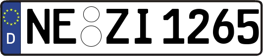 NE-ZI1265