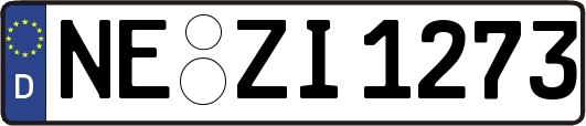 NE-ZI1273
