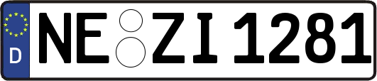 NE-ZI1281