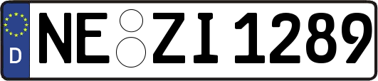 NE-ZI1289