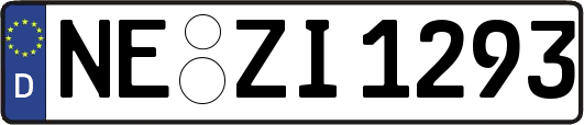 NE-ZI1293