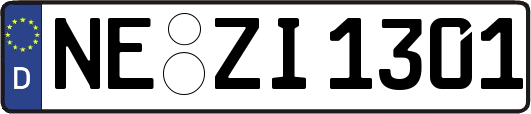 NE-ZI1301