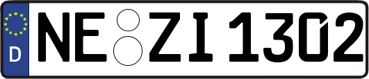 NE-ZI1302