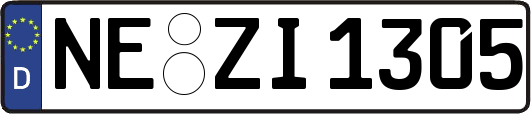 NE-ZI1305