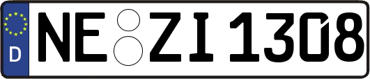NE-ZI1308