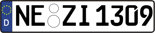 NE-ZI1309