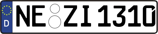 NE-ZI1310