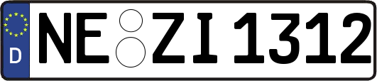 NE-ZI1312