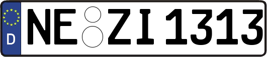 NE-ZI1313