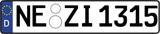NE-ZI1315