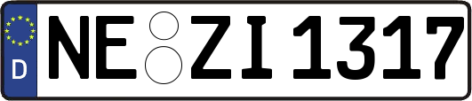 NE-ZI1317
