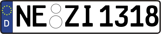 NE-ZI1318