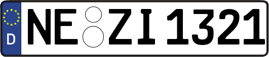 NE-ZI1321
