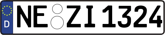 NE-ZI1324