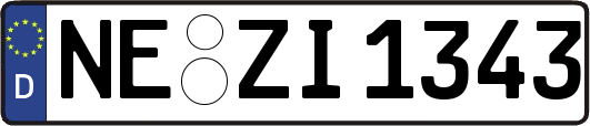 NE-ZI1343