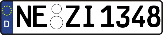 NE-ZI1348