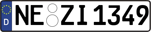 NE-ZI1349