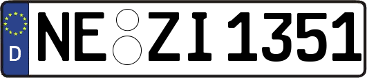 NE-ZI1351