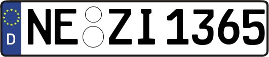 NE-ZI1365