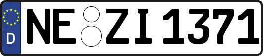 NE-ZI1371