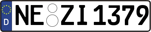 NE-ZI1379