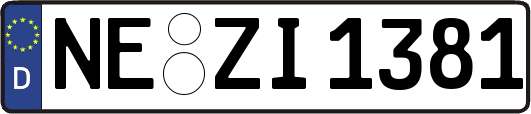 NE-ZI1381