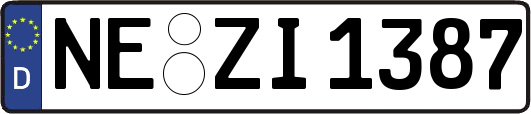 NE-ZI1387