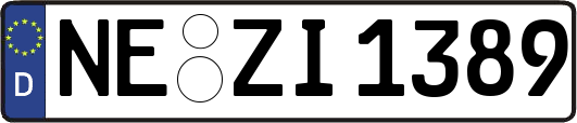 NE-ZI1389