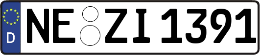 NE-ZI1391