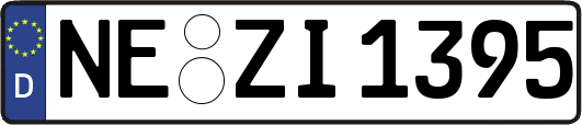 NE-ZI1395