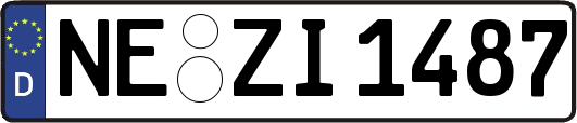 NE-ZI1487
