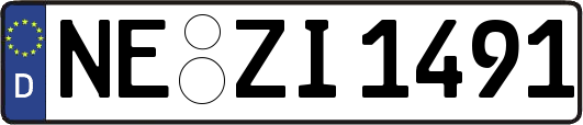 NE-ZI1491