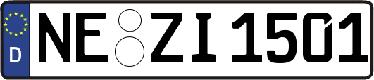 NE-ZI1501